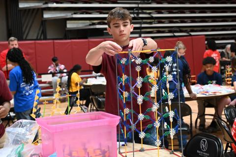 stem design challenge